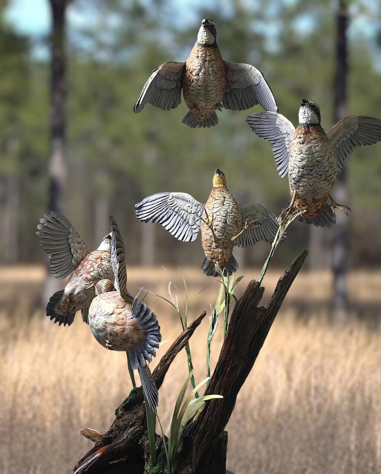 From Branch To Breathtaking, The Art Of Chris Wilson's Wildlife Sculptures (3)