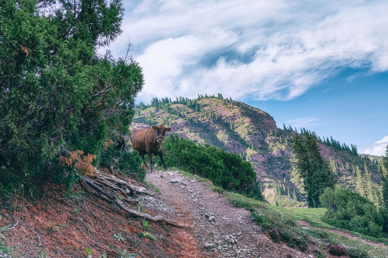 Kyrgyzstan Odyssey, A Hypnotizing Landscape Photography Series By Rus Khasanov (10)