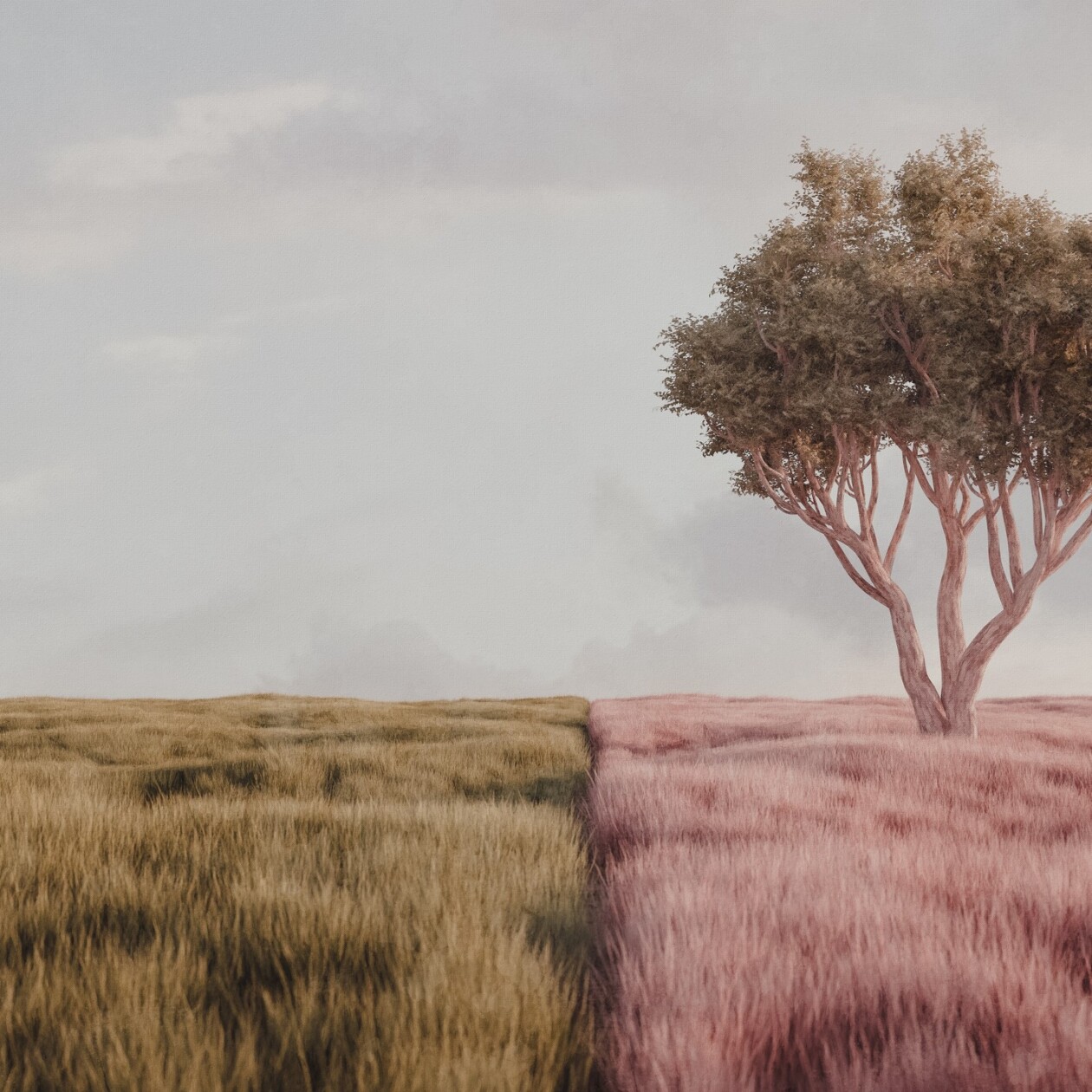 Portal To Tranquility, Exploring The Dreamy 3d Worlds Of Mae, Aka Eniosta (18)