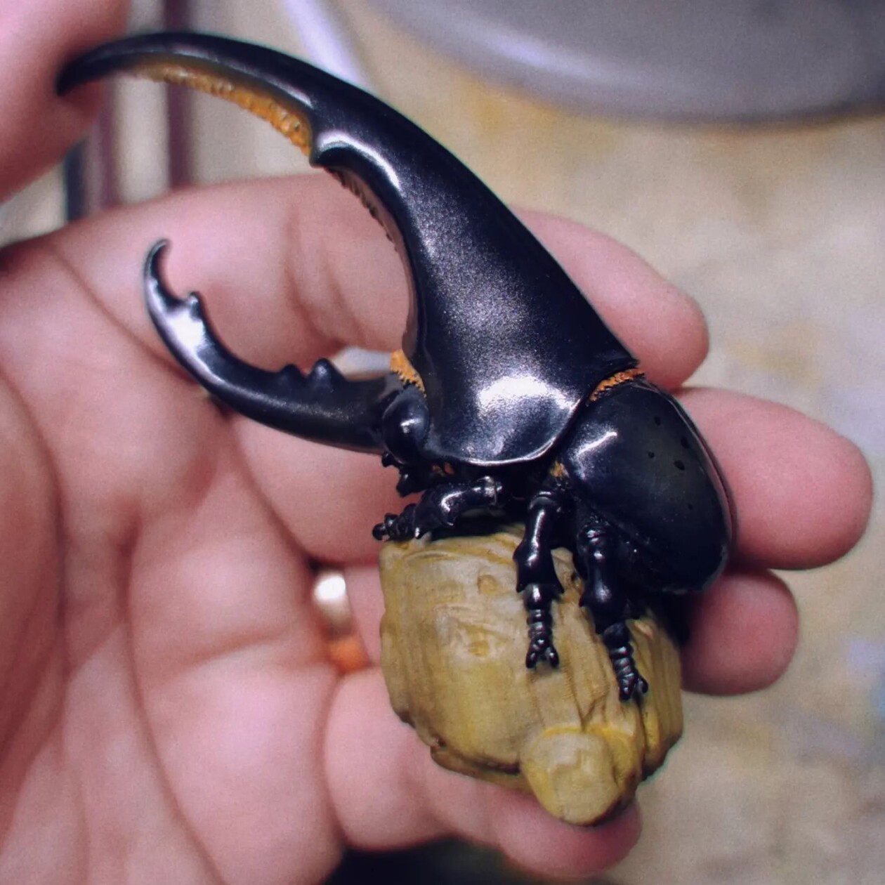 Sculpting Dreams, Sazen Lee's Blend Of Hyperrealism, Surrealism, And Fantasy (10)