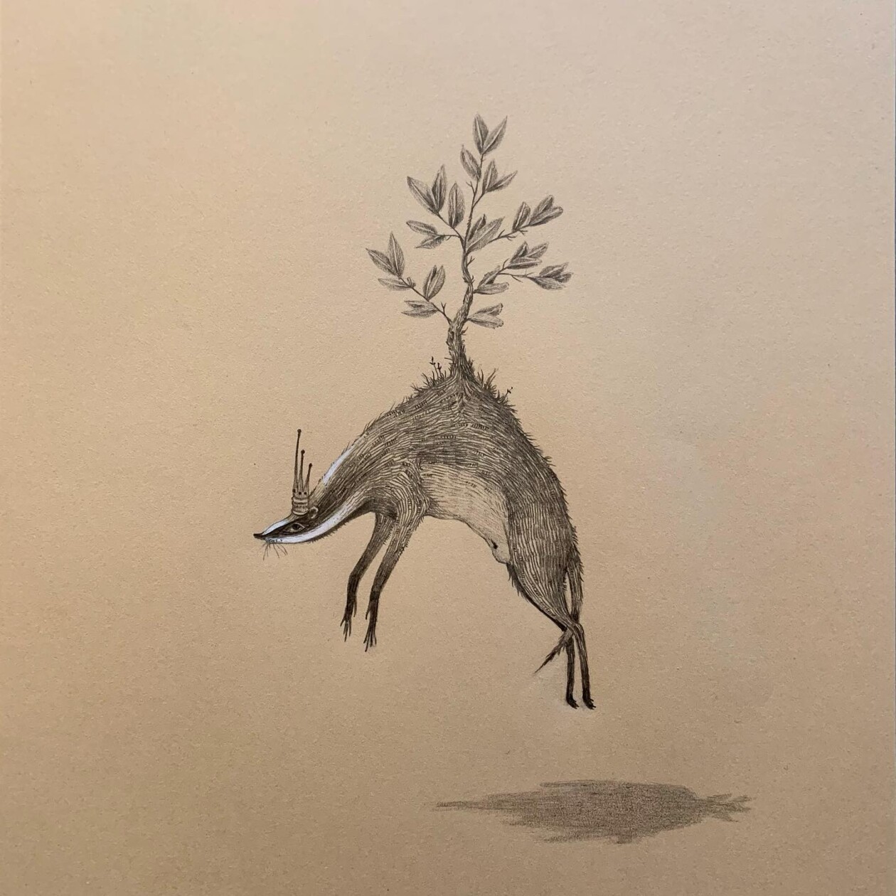 Shadows And Whispers, The Fantastical Creatures Of Giulia Ferla (3)