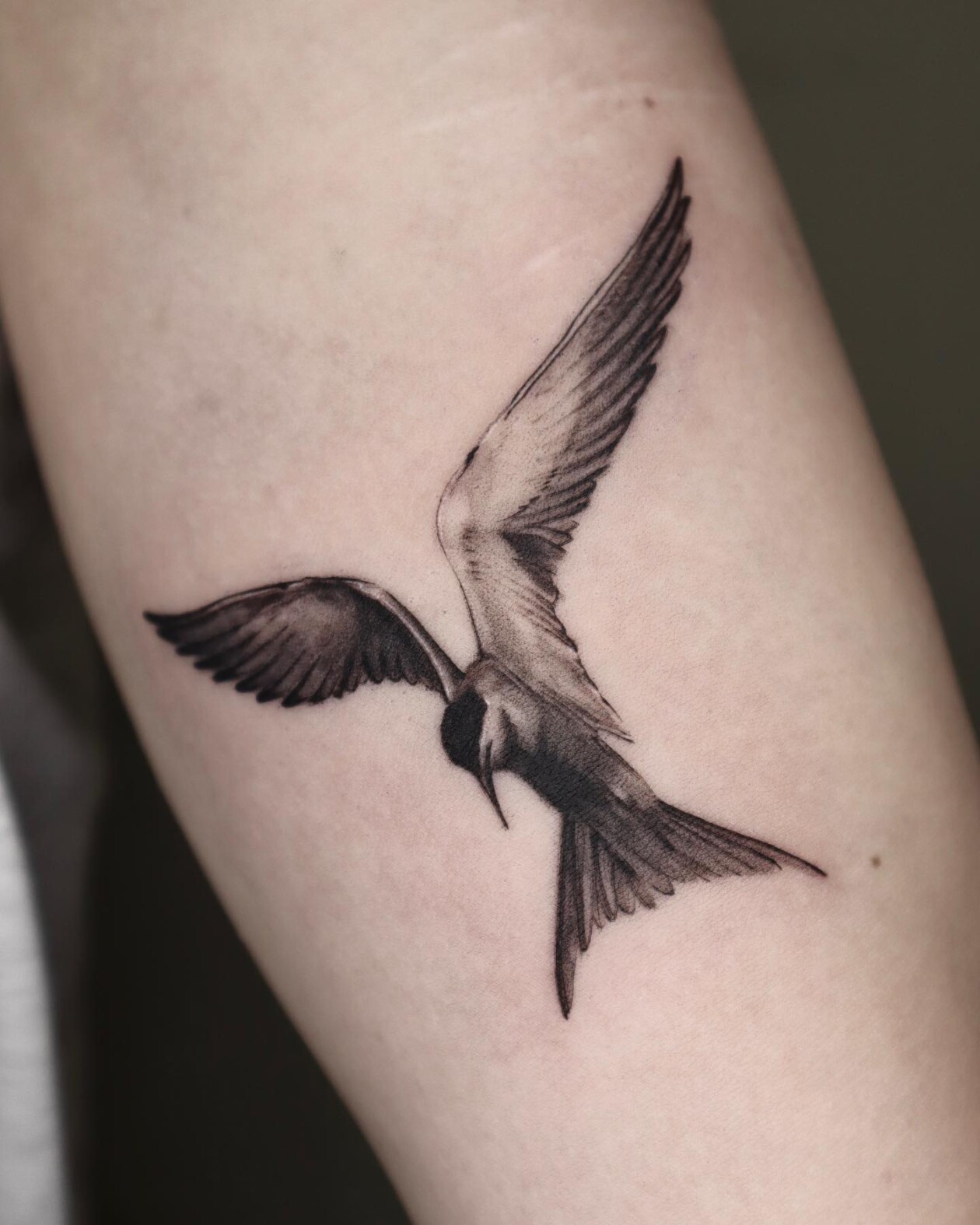 Striking Monochromatic Tattoos By Miro (5)