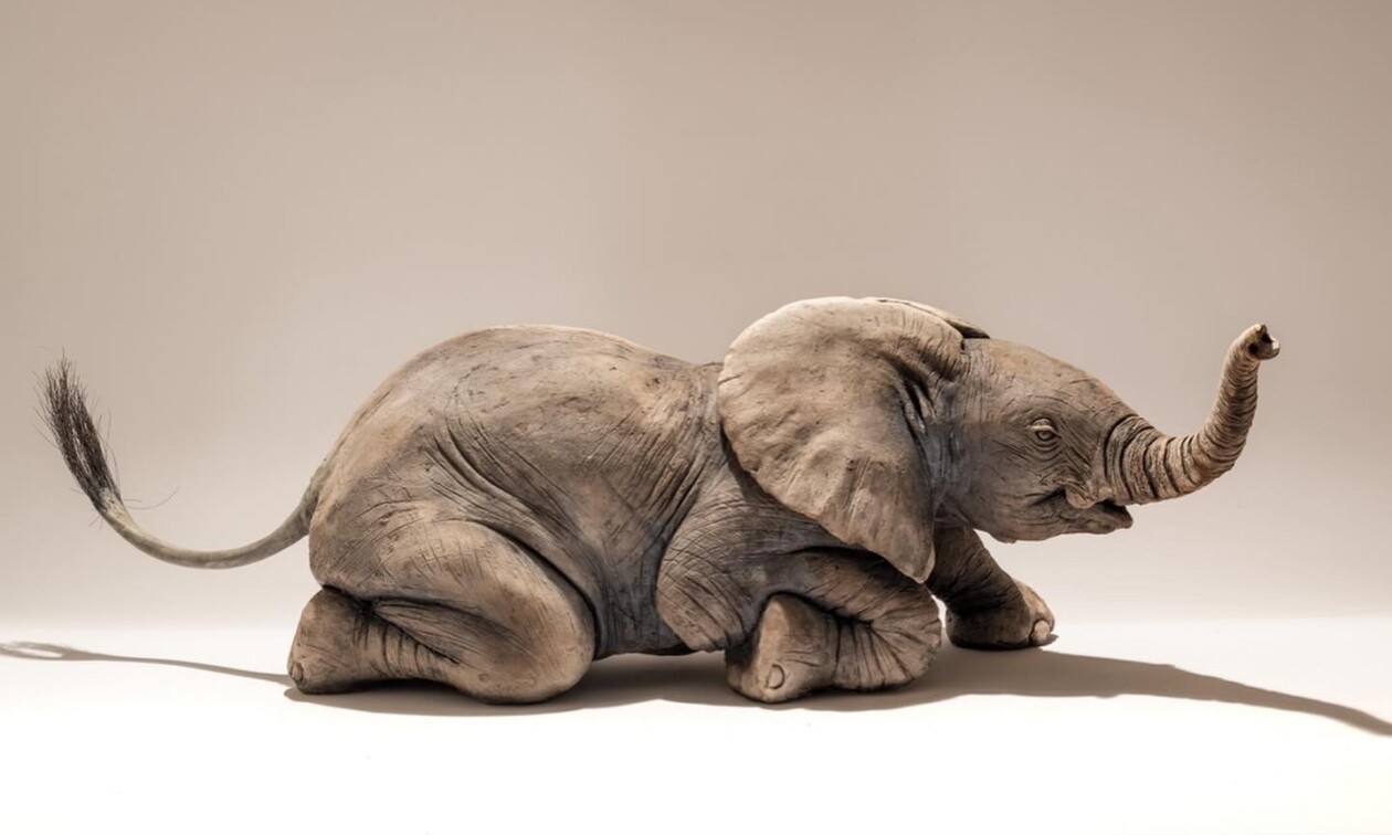 The Essence Of Wildlife, Nick Mackman’s Sculptural Symphony (21)