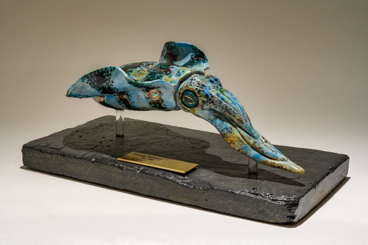 The Essence Of Wildlife, Nick Mackman’s Sculptural Symphony (26)