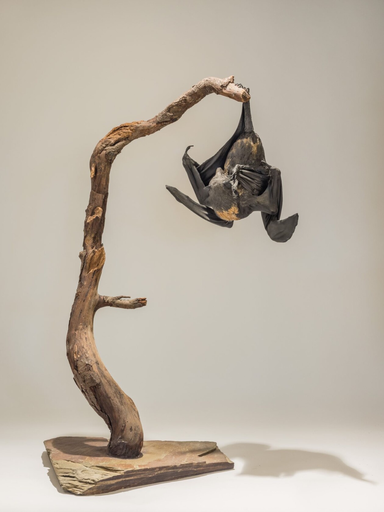 The Essence Of Wildlife, Nick Mackman’s Sculptural Symphony (7)