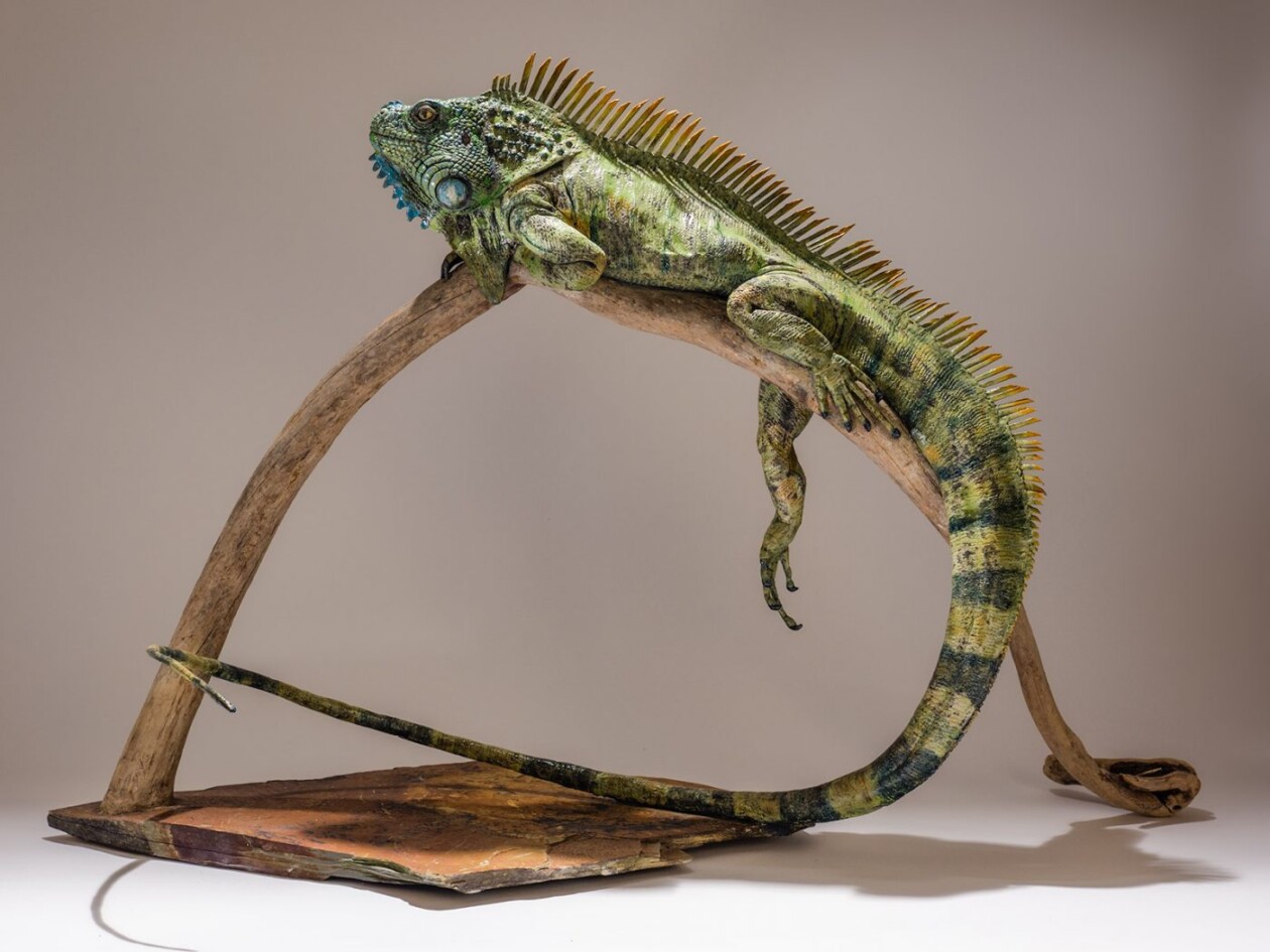 The Essence Of Wildlife, Nick Mackman’s Sculptural Symphony (8)