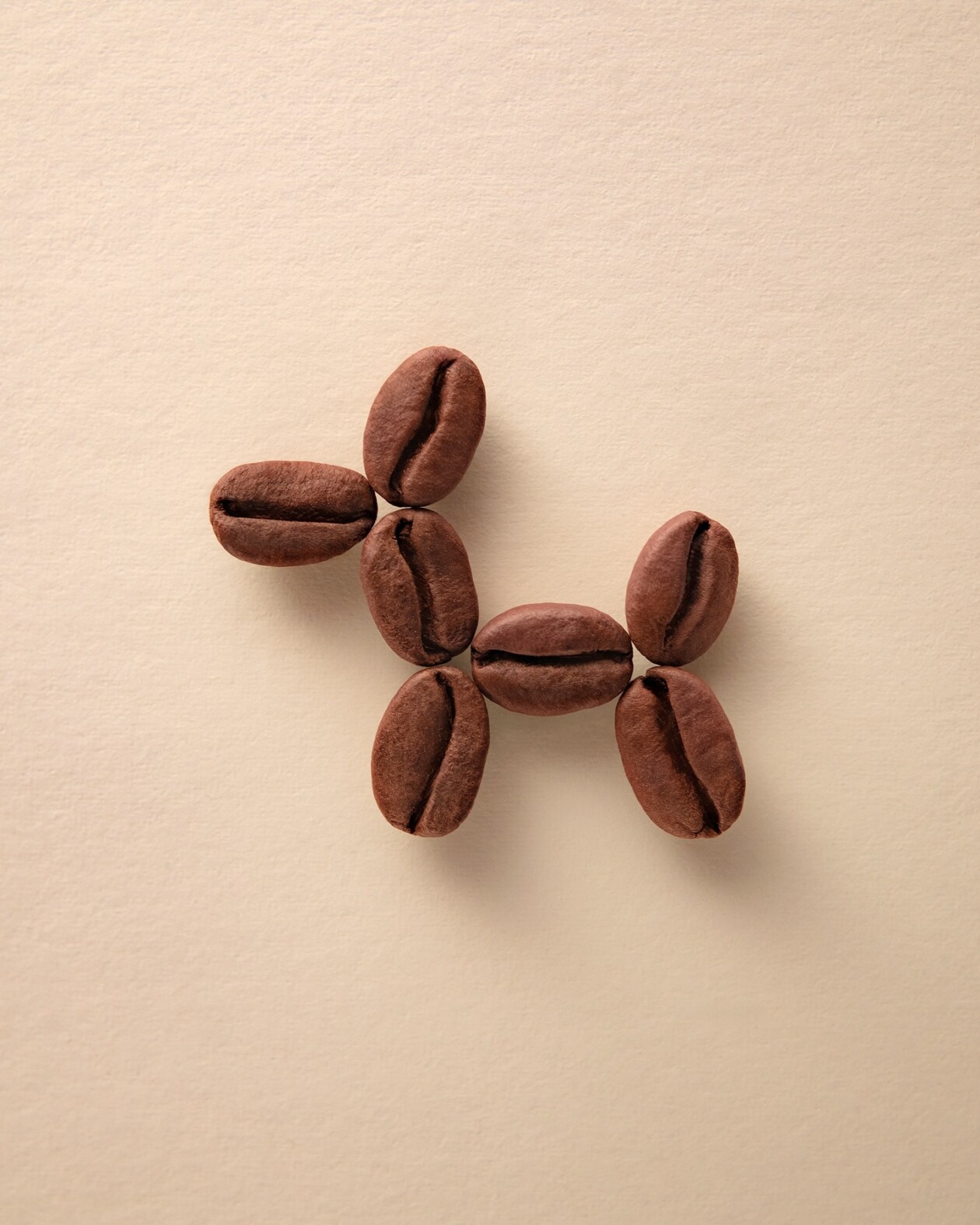 The Whimsical World Of Domenic Bahmann’s Creative Photography (17)