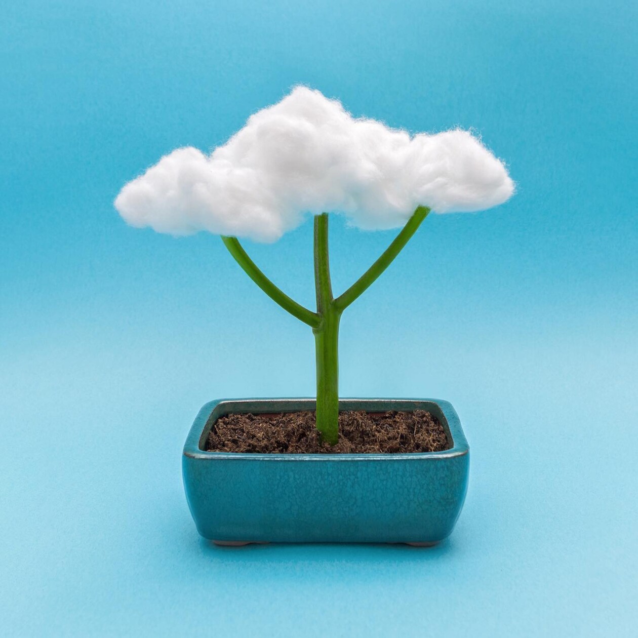 The Whimsical World Of Domenic Bahmann’s Creative Photography (6)