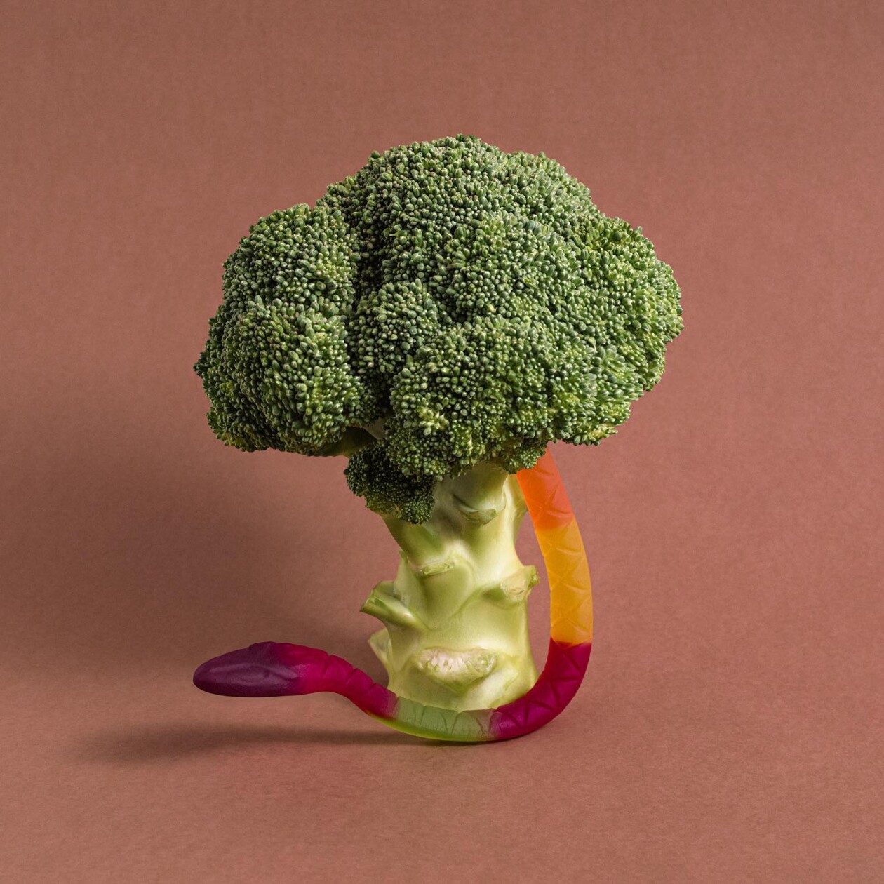 The Whimsical World Of Domenic Bahmann’s Creative Photography (8)