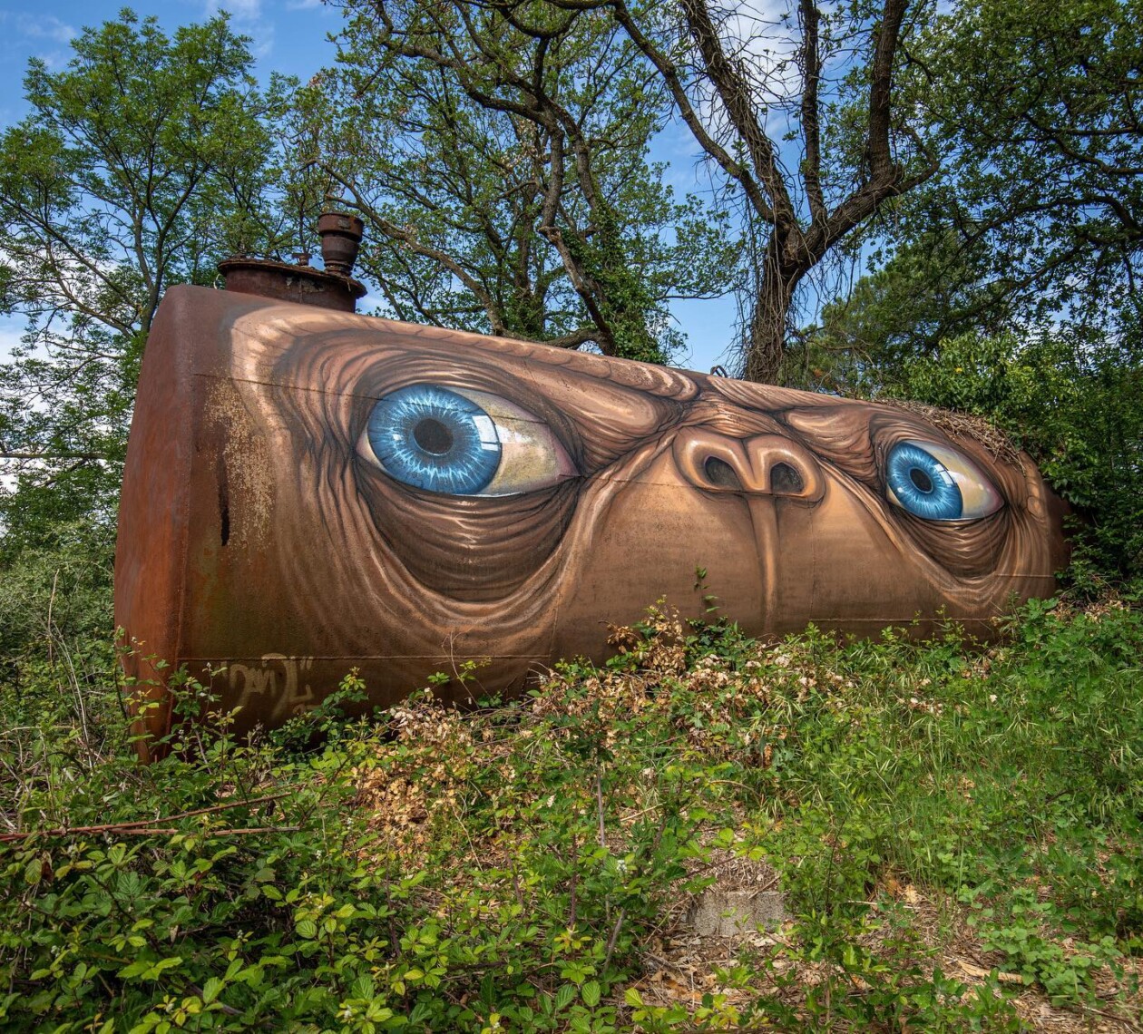 Transforming Forgotten Walls Into Haunting Masterpieces By Davidl (15)