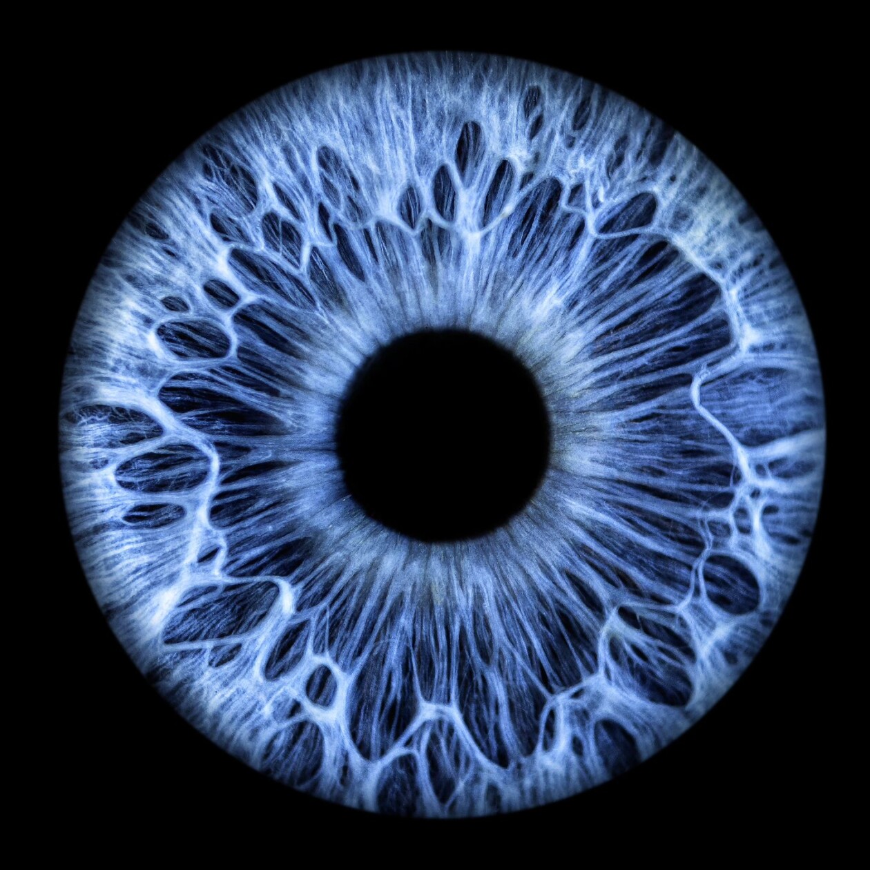 Unveiling The Uniqueness Within, Capturing The Soul Through Iris Art (5)