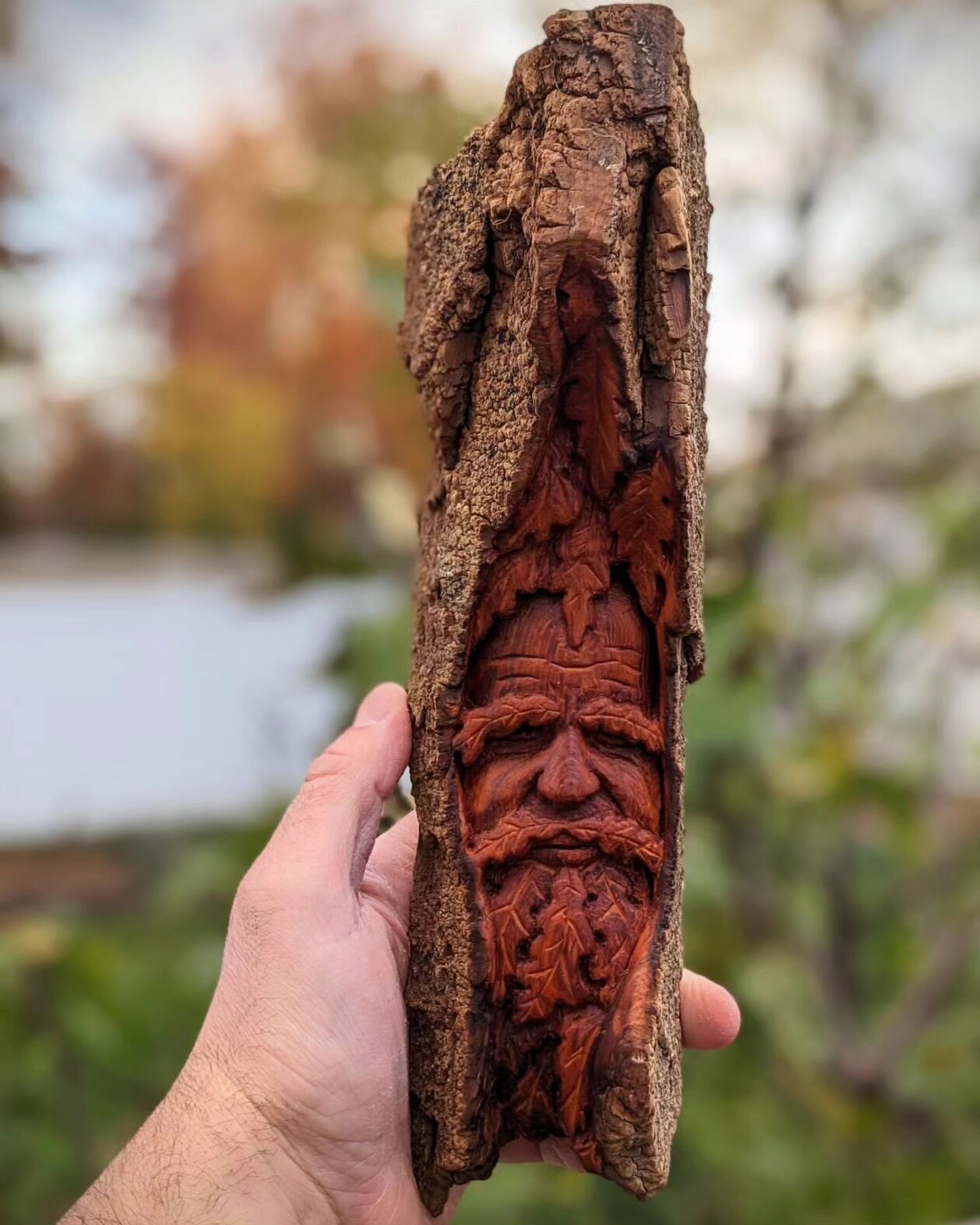 Where Wood Whispers, The Remarkable Sculptures Of Tom Wilkinson (10)