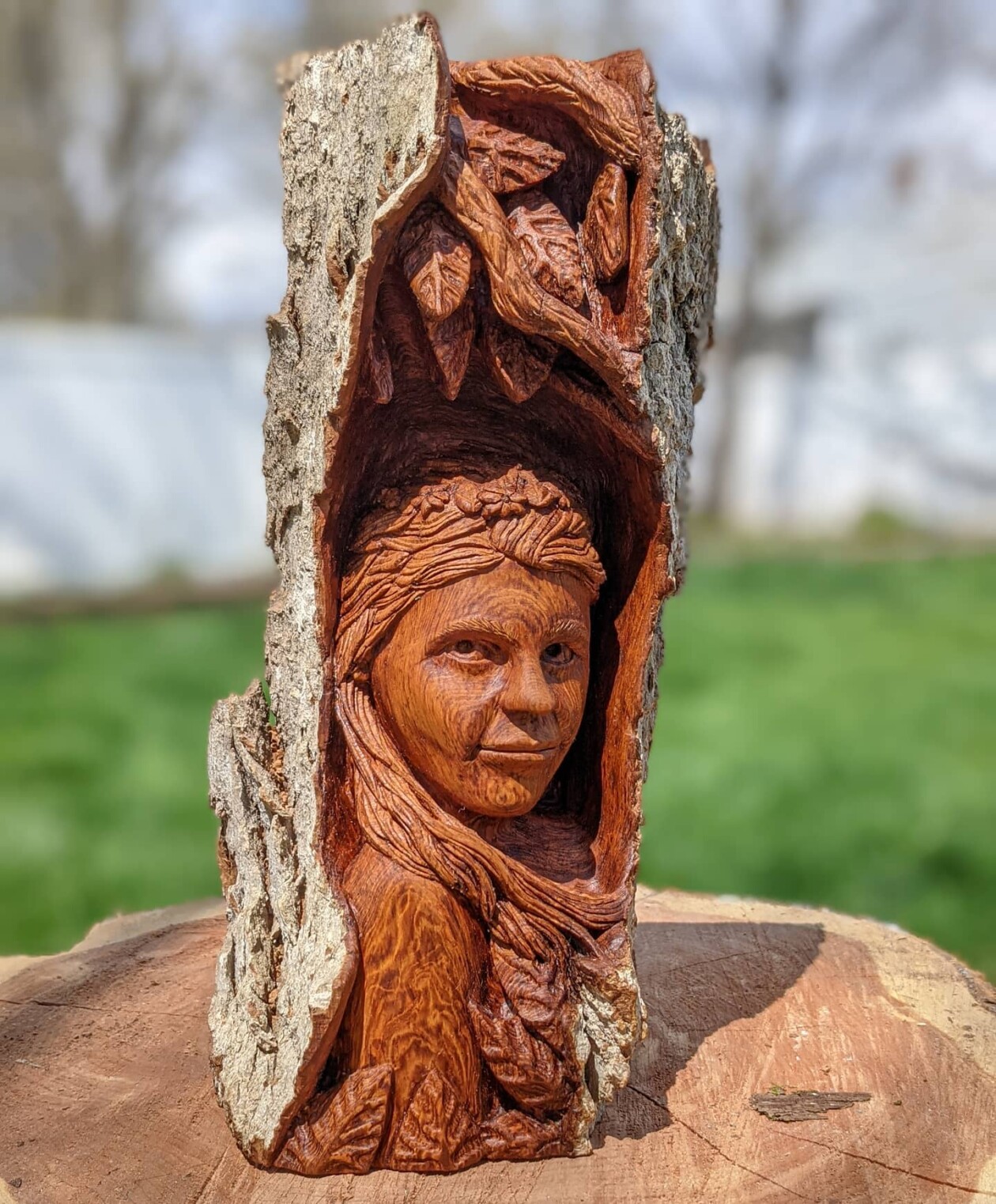 Where Wood Whispers, The Remarkable Sculptures Of Tom Wilkinson (10)