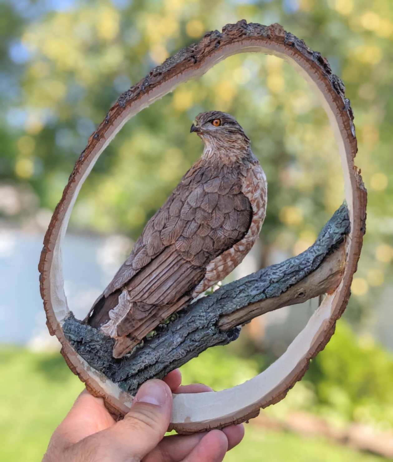 Where Wood Whispers, The Remarkable Sculptures Of Tom Wilkinson (11)