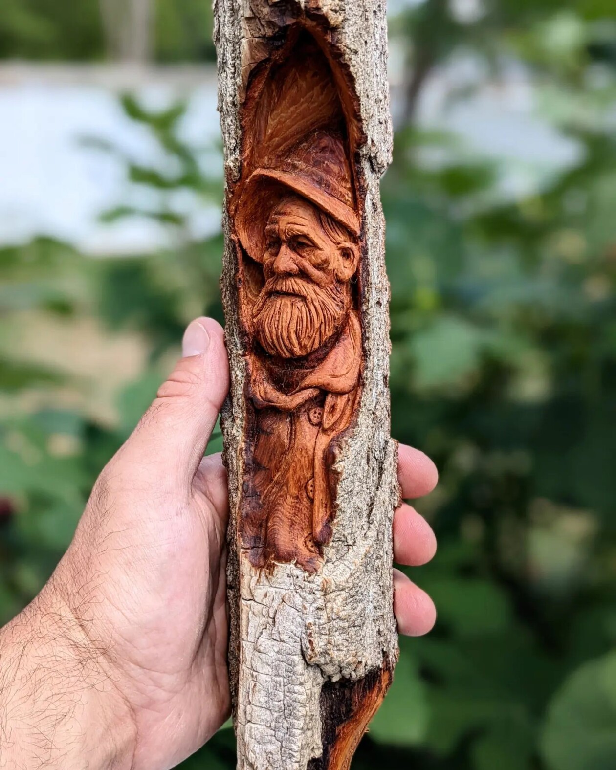 Where Wood Whispers, The Remarkable Sculptures Of Tom Wilkinson (3)