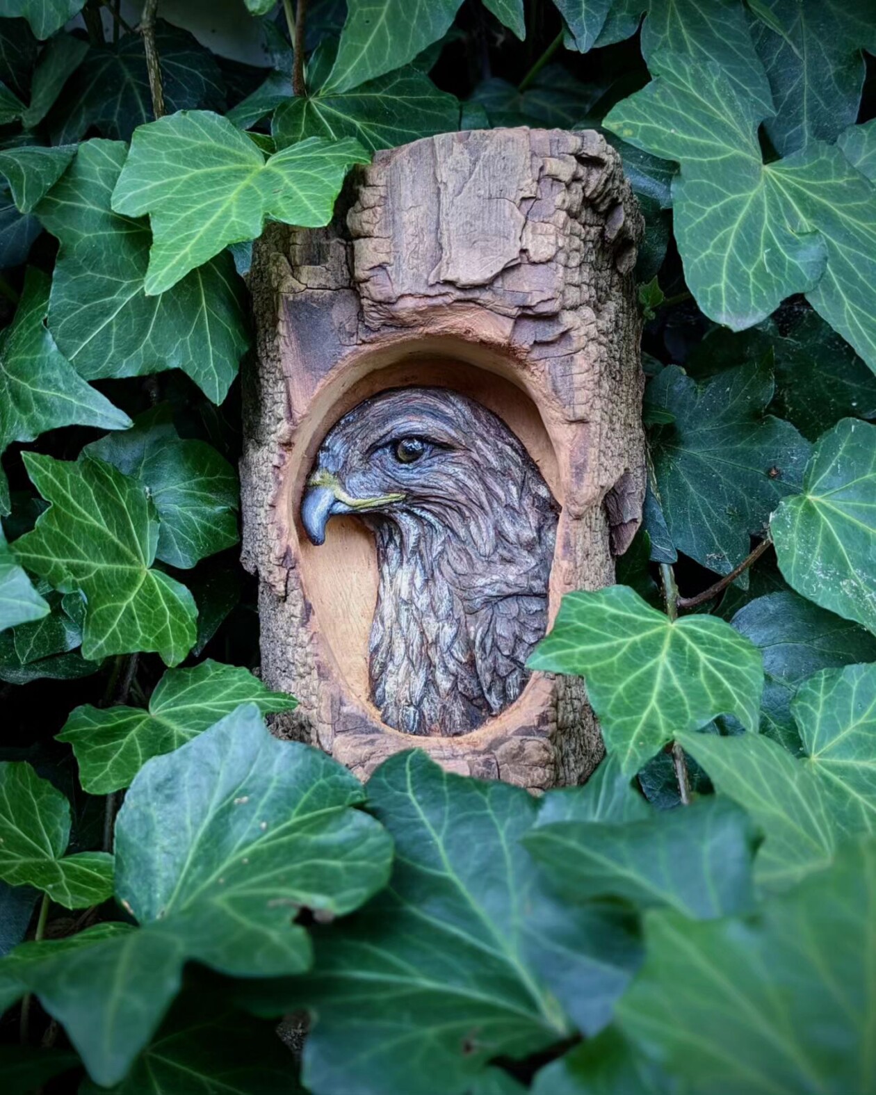 Where Wood Whispers, The Remarkable Sculptures Of Tom Wilkinson (8)