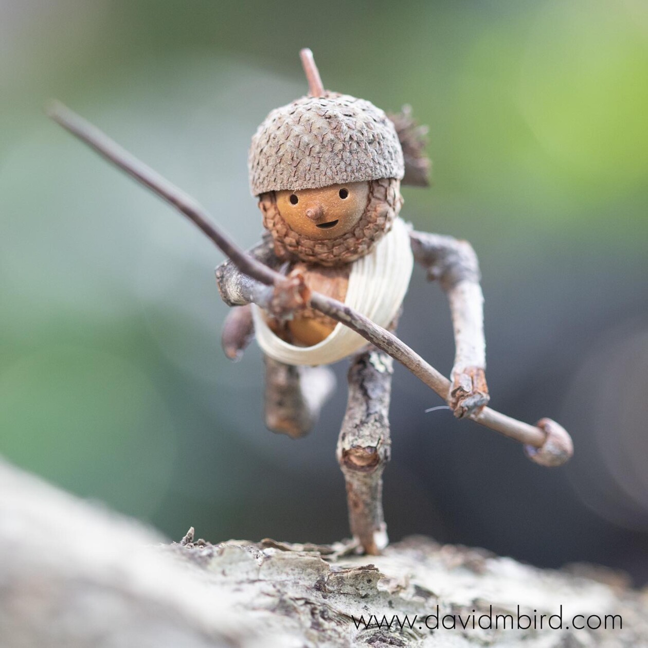 Charming Forest Creatures, The World Of Becorns By David Bird (10)