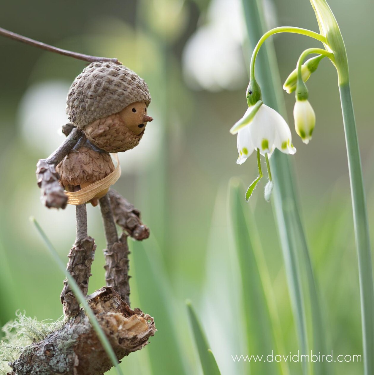 Charming Forest Creatures, The World Of Becorns By David Bird (12)
