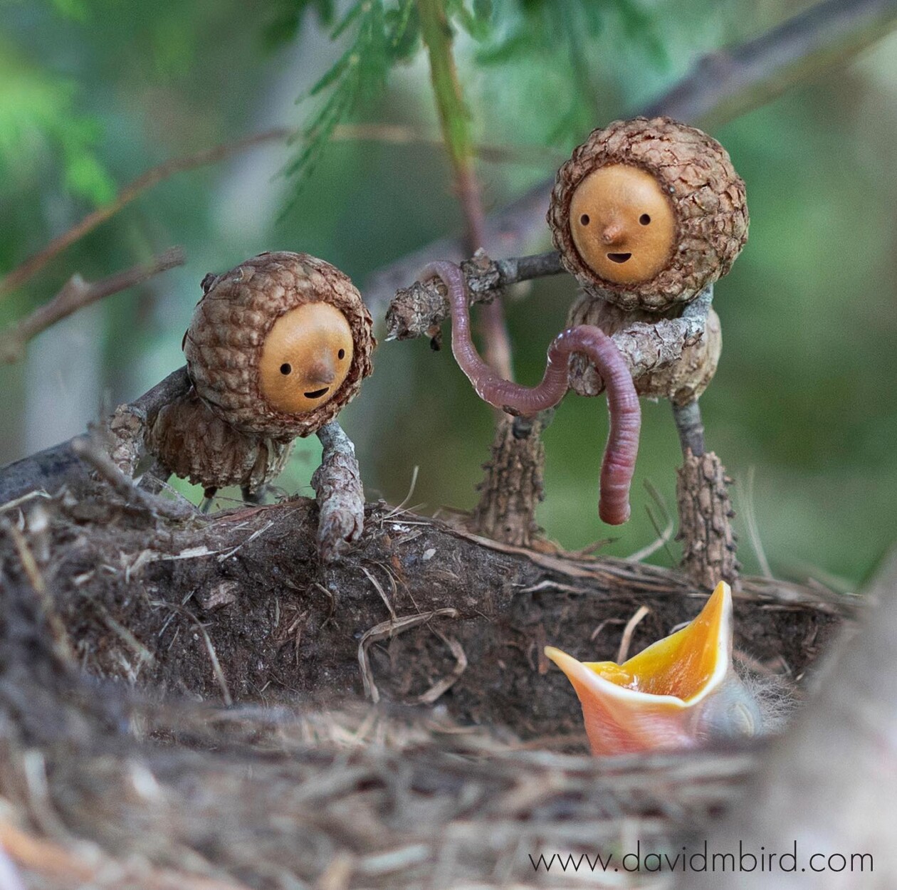 Charming Forest Creatures, The World Of Becorns By David Bird (17)