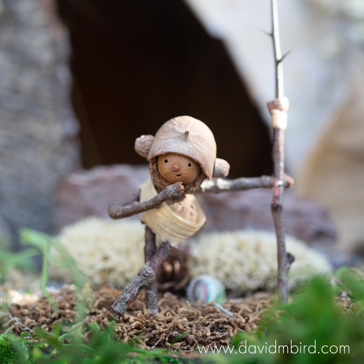 Charming Forest Creatures, The World Of Becorns By David Bird (27)