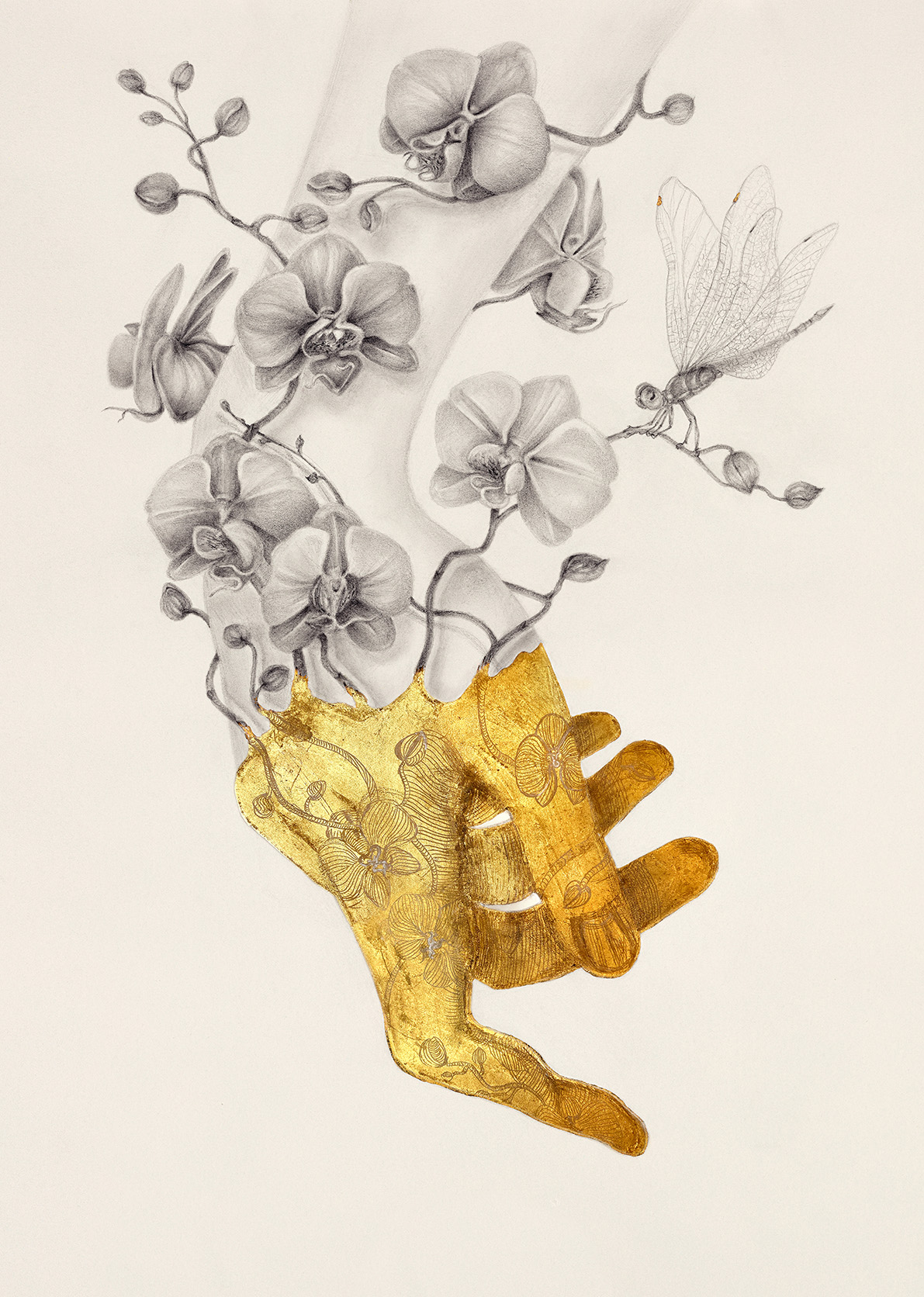 Graphite And Gold Drawings By Iskra Sale (6)