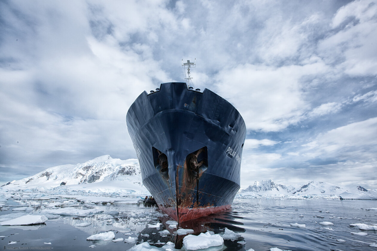 Polar Pioneer In "paradise"