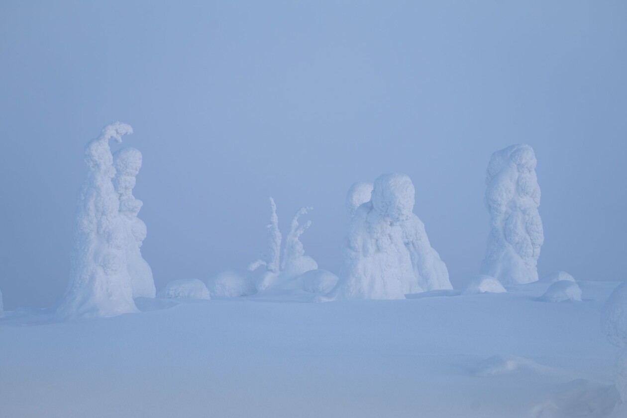 Riisitunturi Landscape Photography Series By Jonas Hafner (5)