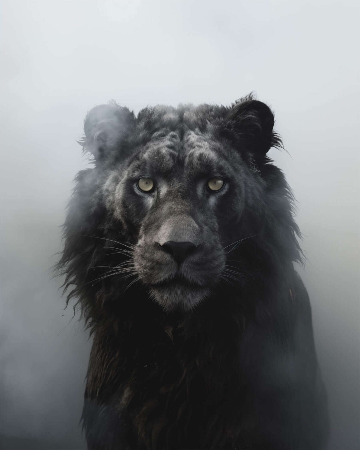 Jim Naughten's Biophilia Series (4)