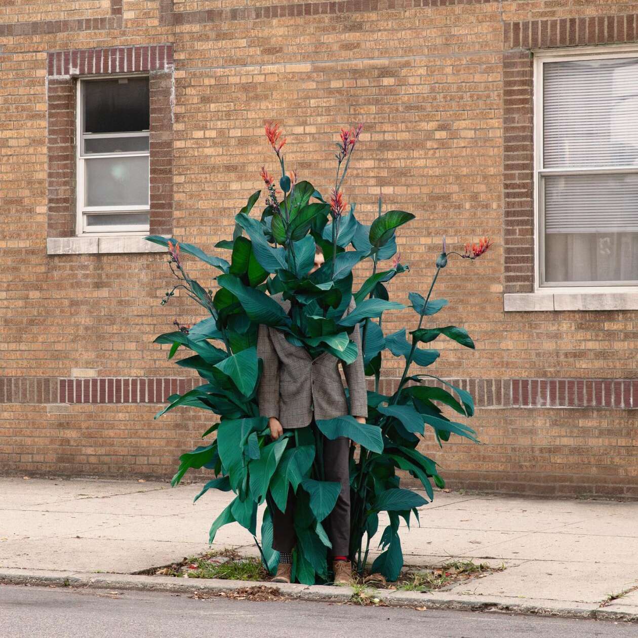 The Mundane Absurdity In Ben Zank's Surreal Photography (8)