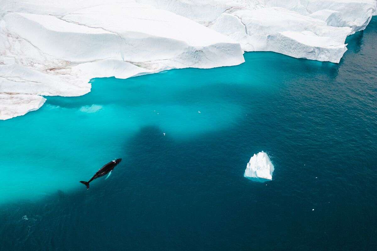 Albert Dros' Landscape Photography O Greenland (2)