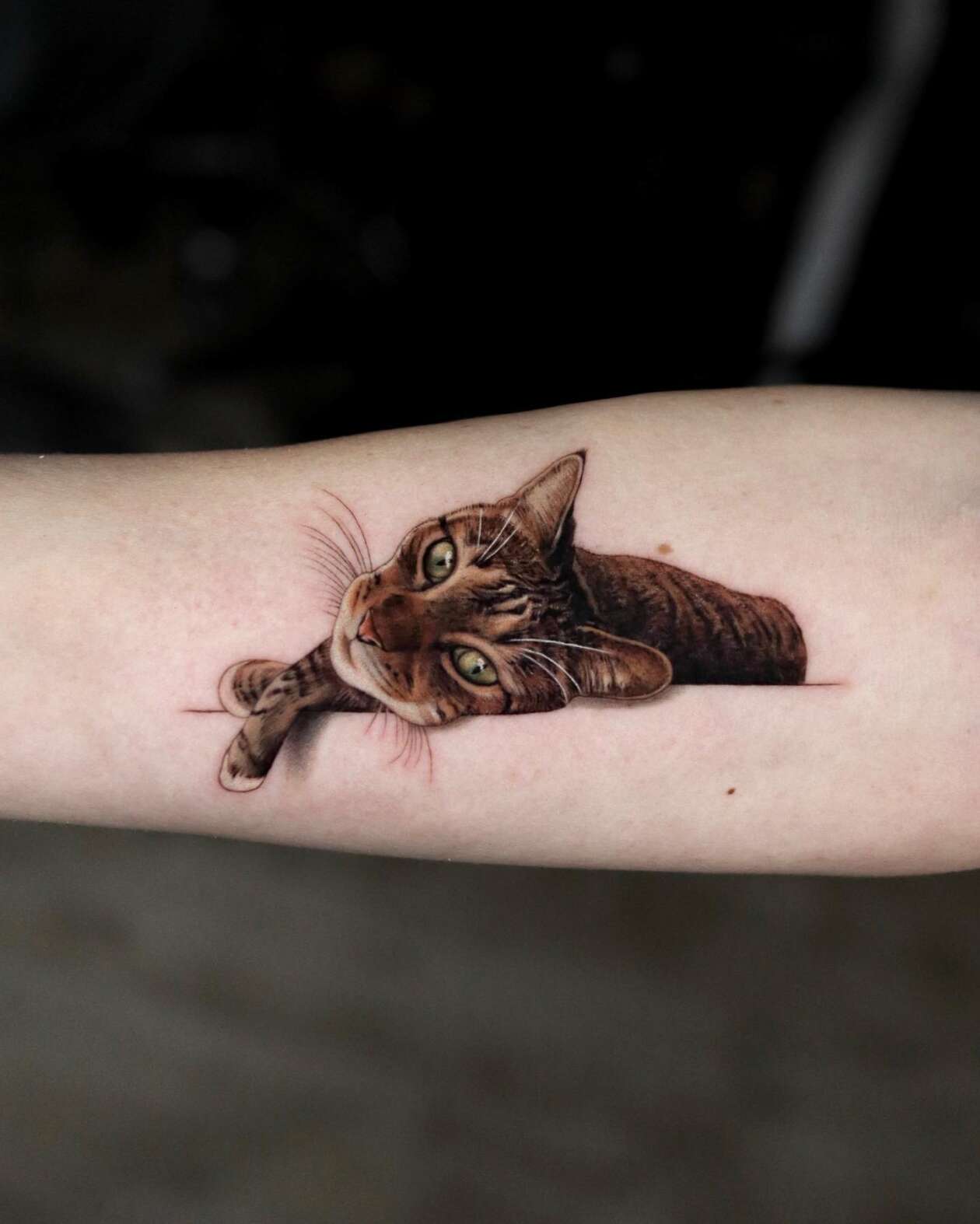 Hyper Realistic Pet Tattoos By Yeono (17)