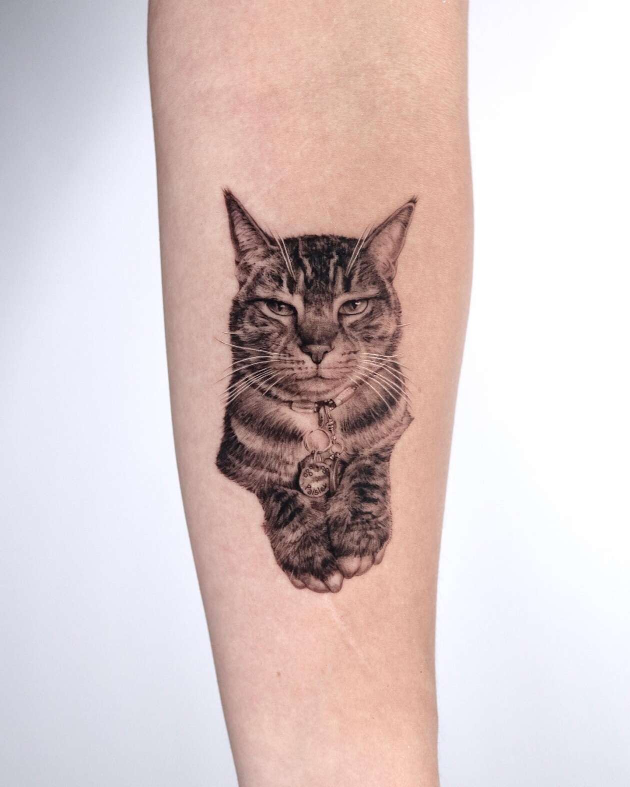 Hyper Realistic Pet Tattoos By Yeono (20)