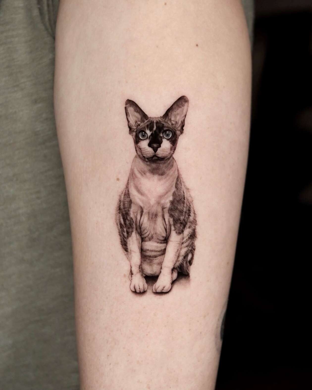 Hyper Realistic Pet Tattoos By Yeono (23)