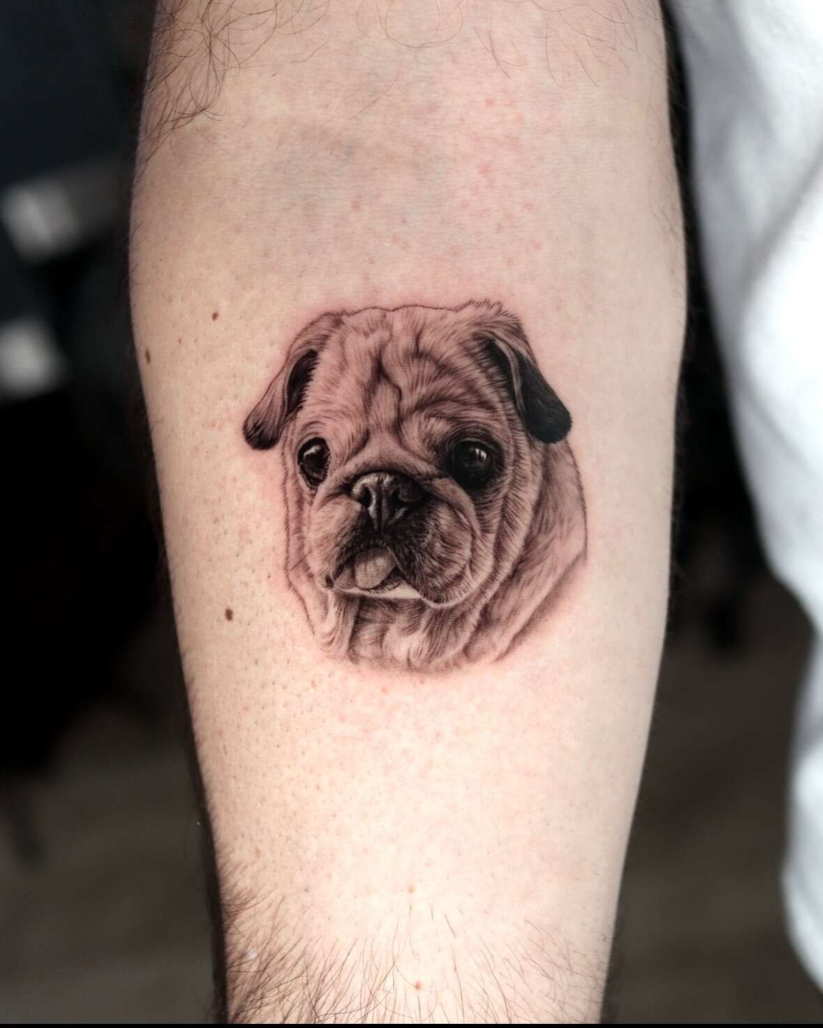 Hyper Realistic Pet Tattoos By Yeono (3)