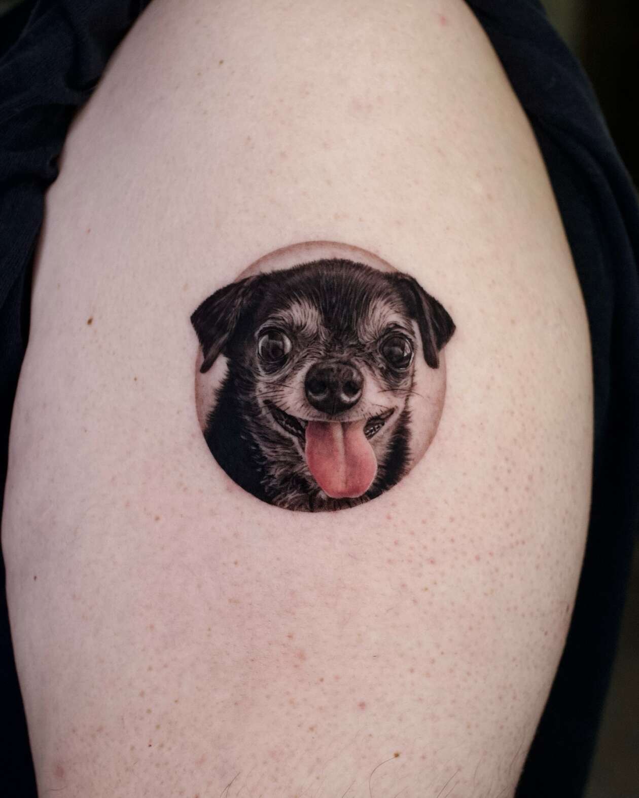 Hyper Realistic Pet Tattoos By Yeono (4)