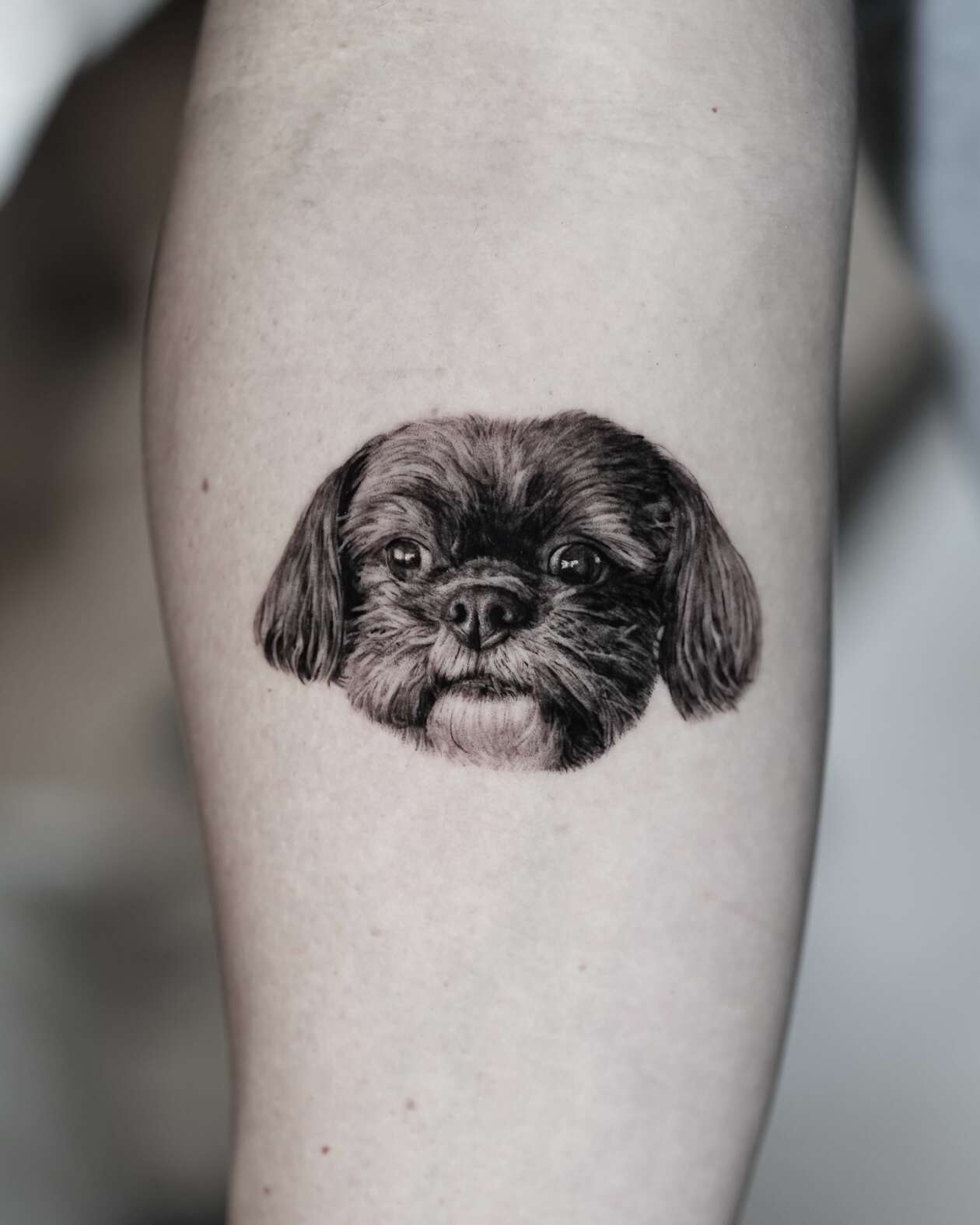 Hyper Realistic Pet Tattoos By Yeono (5)