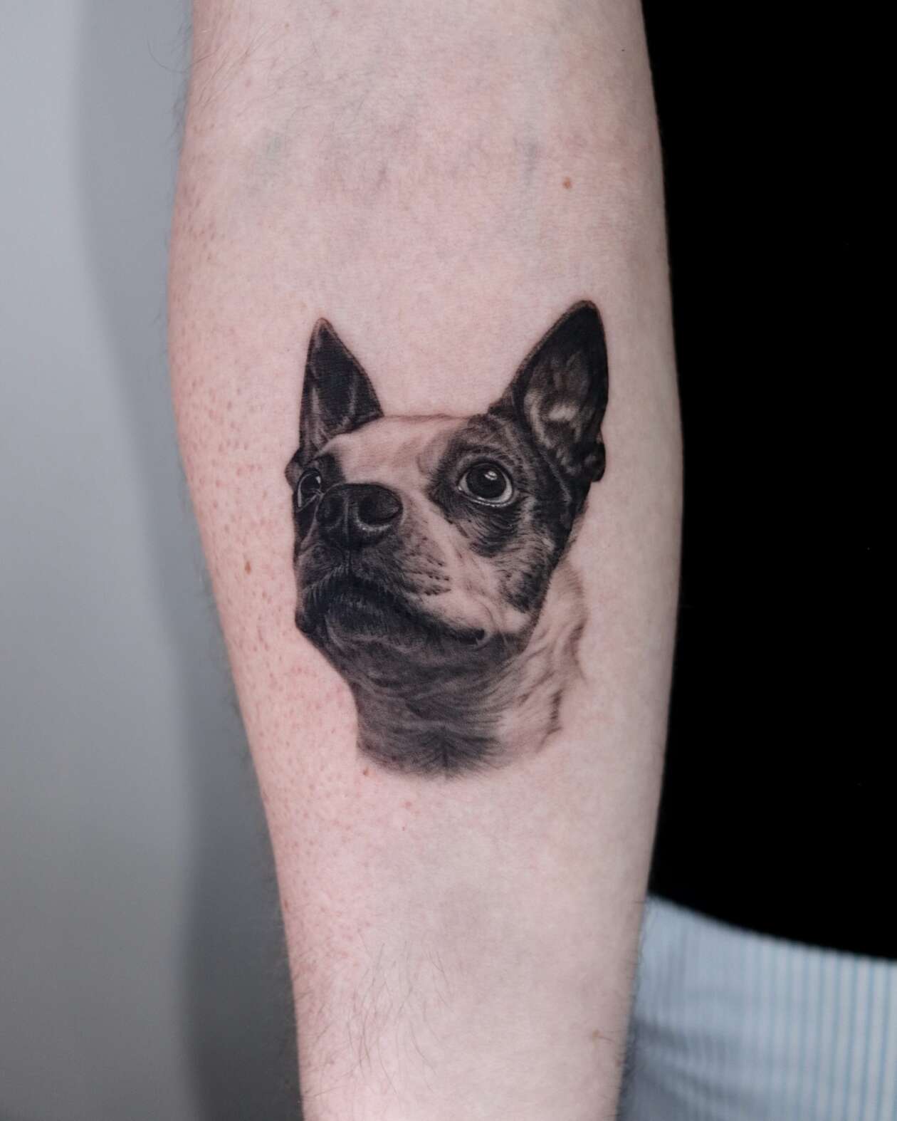 Hyper Realistic Pet Tattoos By Yeono (6)