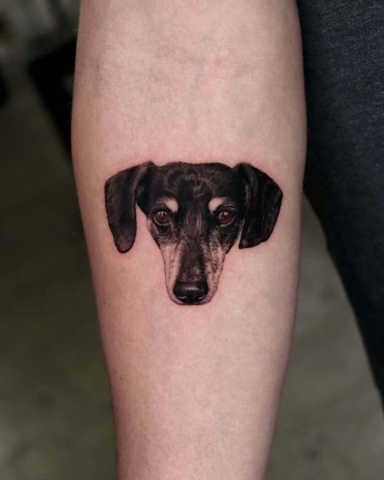 Hyper Realistic Pet Tattoos By Yeono (7)
