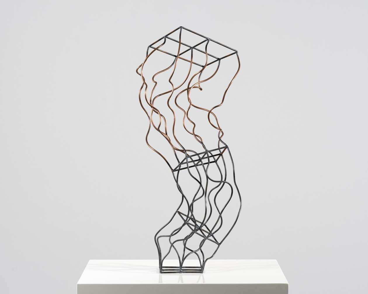 John Pai's Airy Steel Sculptures (8)