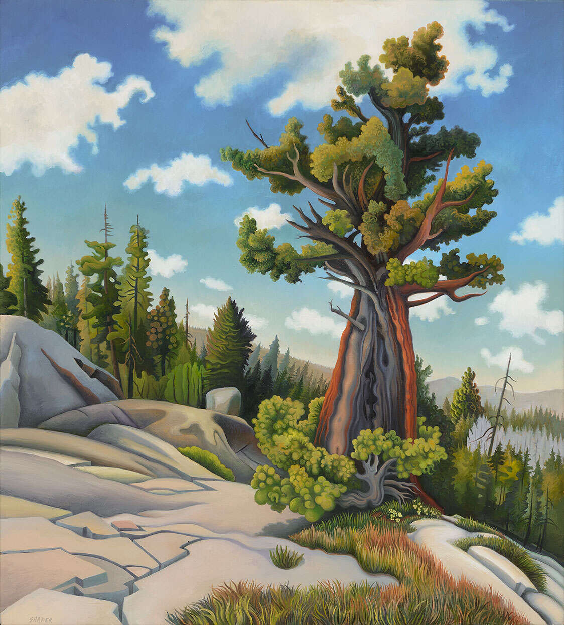 Phyllis Shafer's Nature Plein Air Paintings (11)