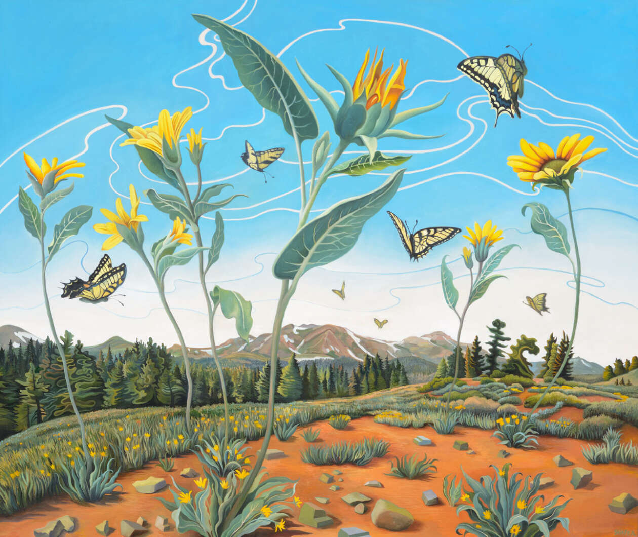 Phyllis Shafer's Nature Plein Air Paintings (14)