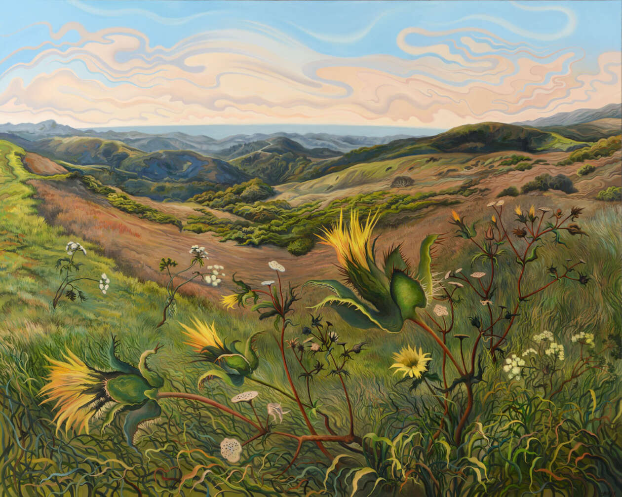 Phyllis Shafer's Nature Plein Air Paintings (15)