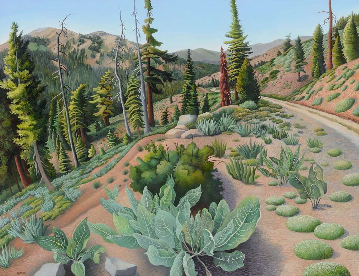 Phyllis Shafer's Nature Plein Air Paintings (6)