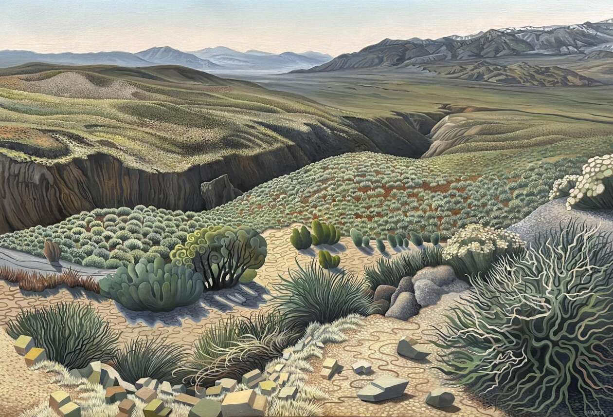 Phyllis Shafer's Nature Plein Air Paintings (8)