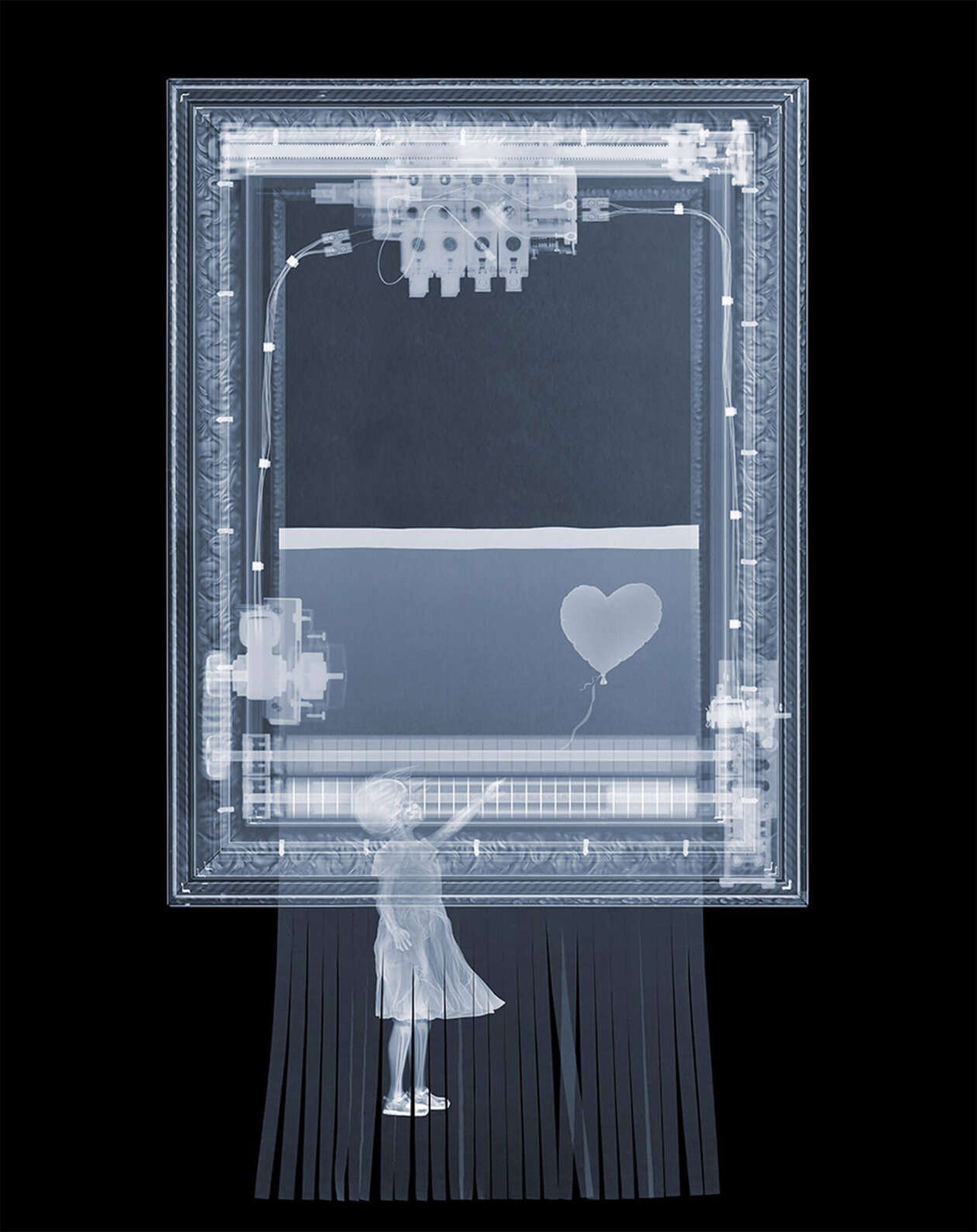 The Fascinating X Ray Photography Of Nick Veasey (11)