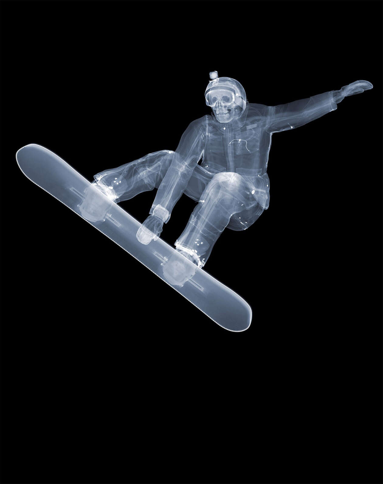 The Fascinating X Ray Photography Of Nick Veasey (14)