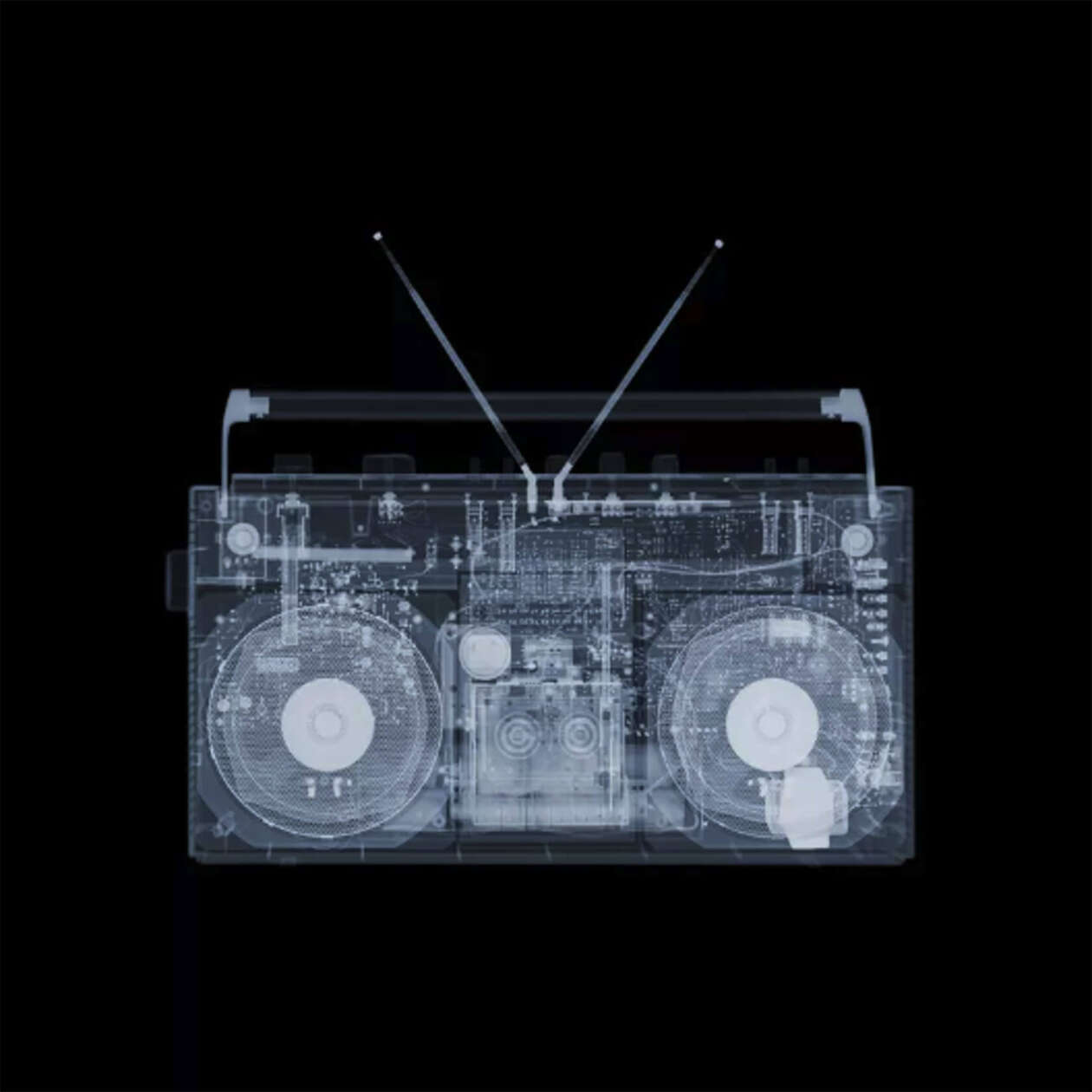 The Fascinating X Ray Photography Of Nick Veasey (18)