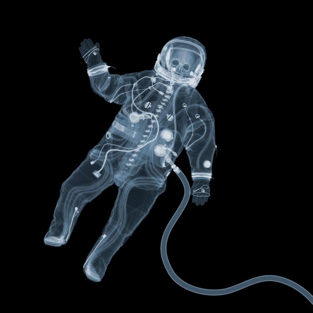The Fascinating X Ray Photography Of Nick Veasey (2)