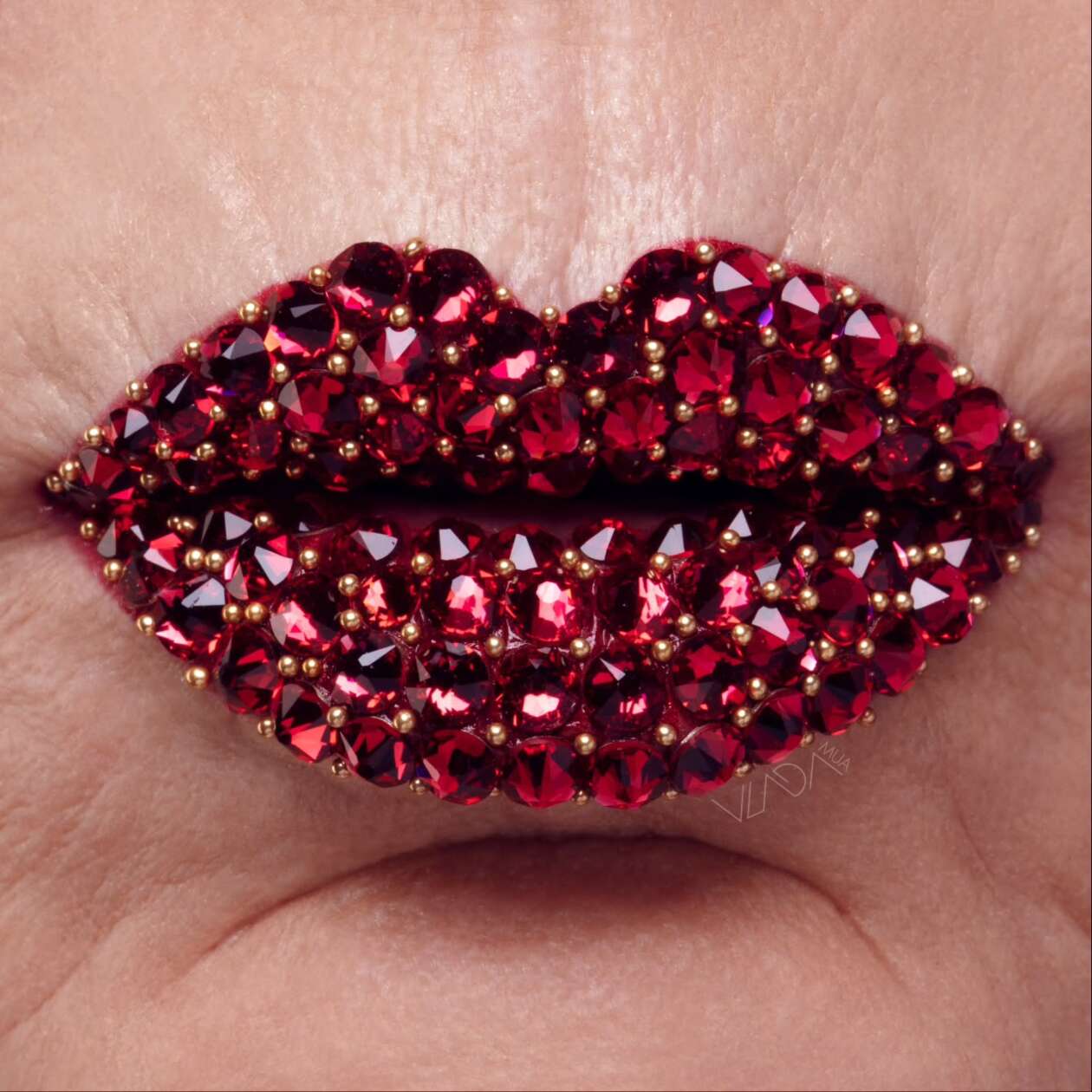 Vlada Haggerty's Lip Art (5)