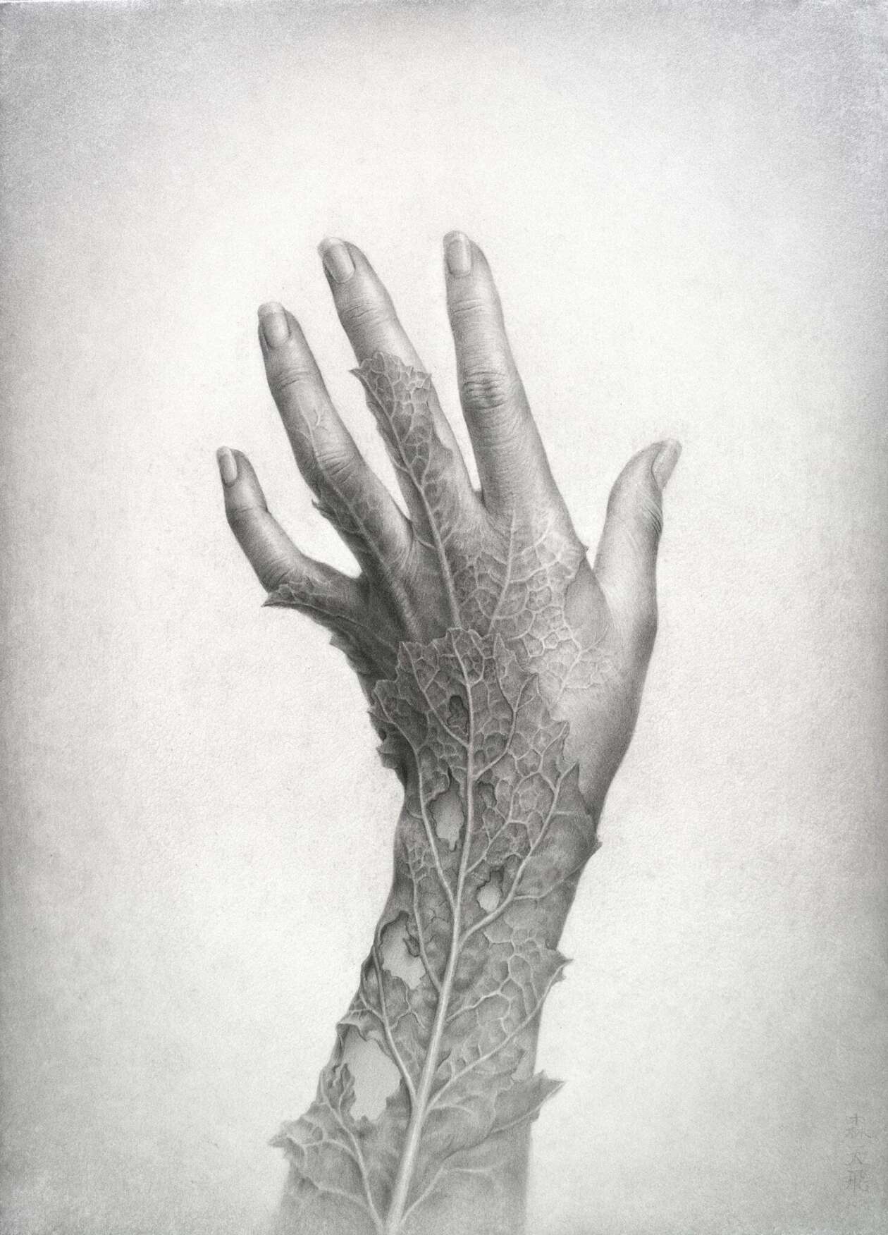 Amahi Mori’s Surreal Hybrids (10)